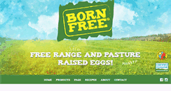 Desktop Screenshot of bornfreeeggs.com